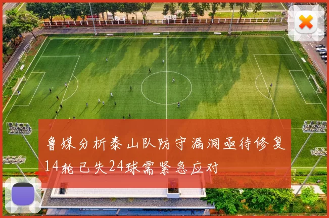 鲁媒分析泰山队防守漏洞亟待修复14轮已失24球需紧急应对