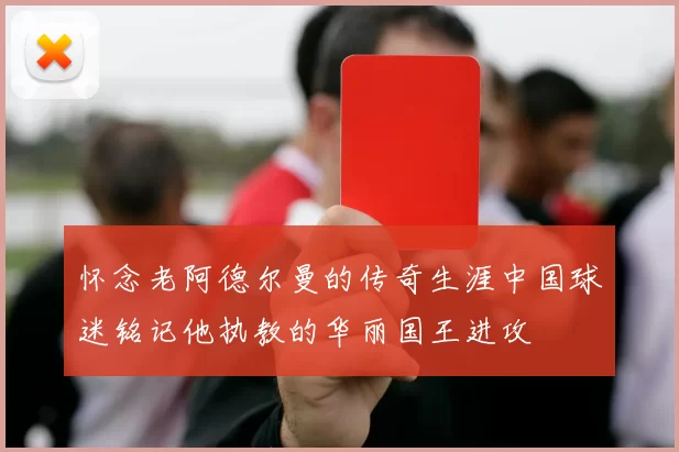 怀念老阿德尔曼的传奇生涯中国球迷铭记他执教的华丽国王进攻